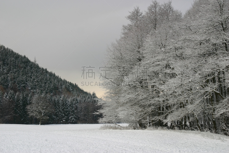 冬天,英格兰,水平画幅,山,雪,无人,户外,白色,枝,云