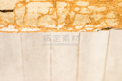 白蚁,住房,木制,损坏的,自然,褐色,式样,水平画幅,洞,无人