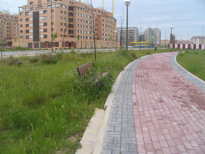 都市风景,自然,在上面,湿,圆石,长椅,云,公园,枝繁叶茂,公园长椅
