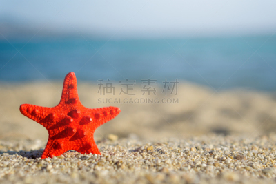 沙子,海洋,红海星,蓝色,海滩,背景,钉住,热带气候,海星,贝壳