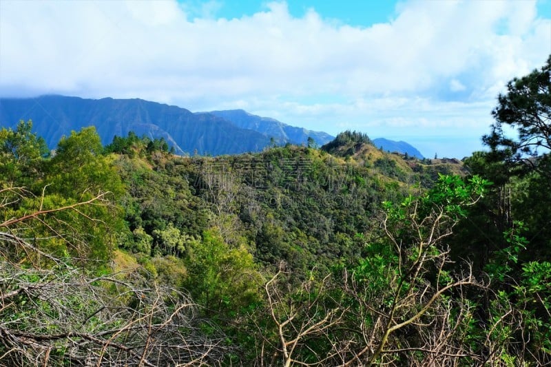 海岸线,山脉,瓦安娜海岸,瓦胡岛,风景,山,海滩,徒步旅行,山脊,问候