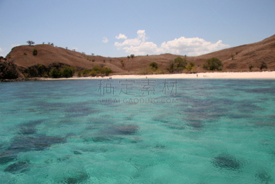 海滩,印度尼西亚,美,褐色,水平画幅,纯净,偏远的,户外,完美,林卡岛