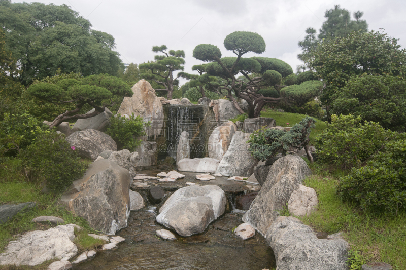 布宜诺斯艾利斯,植物园,热带气候,草,著名景点,阿根廷,植物,热带树,夏天,户外