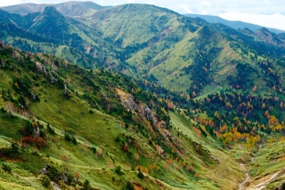 秋天,风景,滋贺县,叶子,长野县,色彩鲜艳,草津山,户外活动,植物,背景