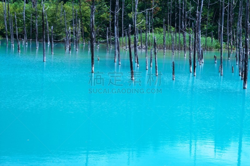 风景,蓝色,日本,池塘,天空,水平画幅,无人,夏天,观测点,户外