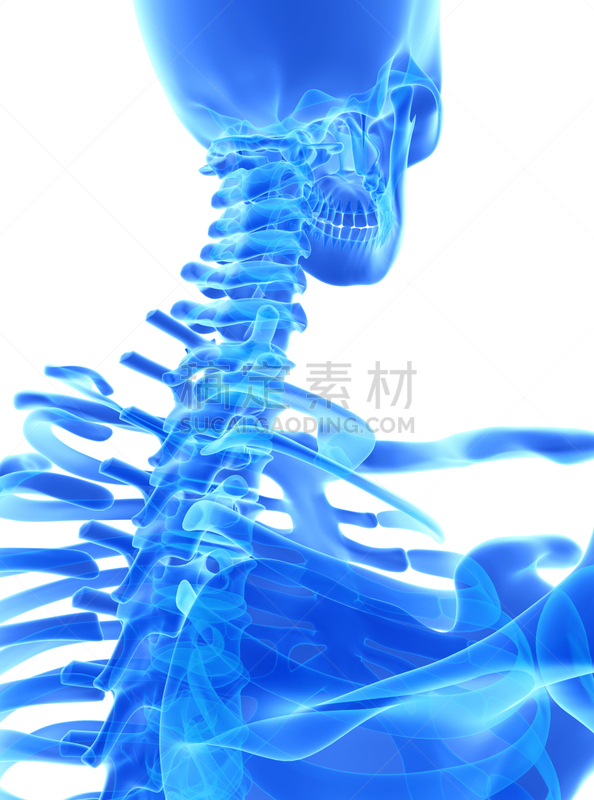 脊柱,绘画插图,三维图形,健康保健,宫颈巴氏涂片,概念,颈椎,脊骨神经科矫正,耐性,脊椎