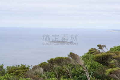 海港,海洋,新西兰,地形,刀刃,海岸线,尾巴,岩石,水湾