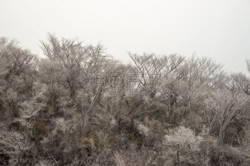 富士山,日本,火山,居住区,大涌谷,富士箱根伊豆国立公园,硫磺,空中缆车,2016,熔岩