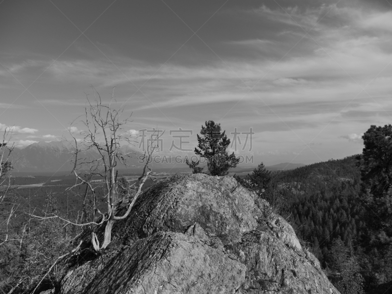 黑白图片,徒步旅行,山,自然,风景,图像,加拿大,自然美,大不列颠哥伦比亚,春天