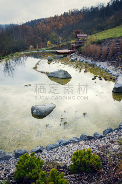 纯净,自然,码头,木制,自然美,池塘,水生植物,垂直画幅,水,美