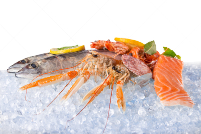 海产,清新,碎冰,水平画幅,贻贝,生食,商店,碾碎了的,营养品,虾