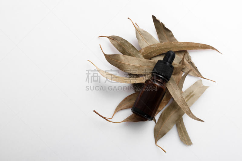 香熏油,桉树,白色背景,健康保健,药,香水,芳香疗法,瓶子,设备用品
