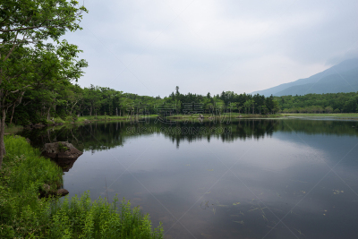 水,湖,地形,安静,自然美,五只动物,知床五湖,知床半岛,北海道,湖岸