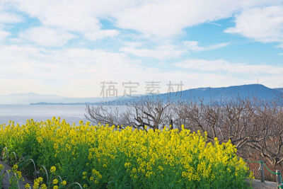 scenery from azumayamakouen
吾妻山公园からの风景