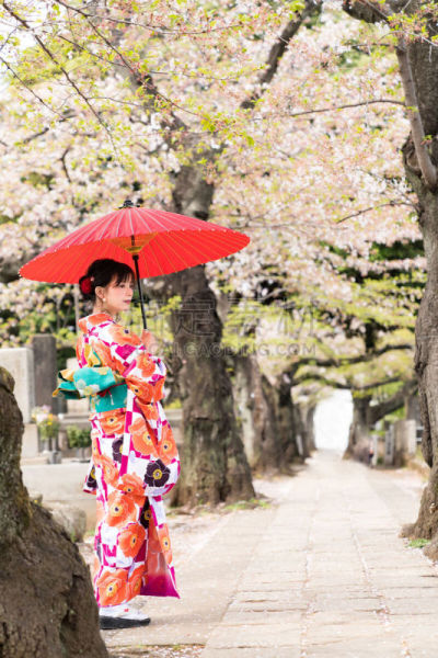 和服,日本人,女孩,衣服,青年人,传统服装,长袖和服,伞,儿童,中国人