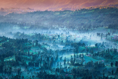 婆罗摩火山,乡村,bromo-tengger-semeru national park,滕格尔火山,东爪哇,爪哇,国家公园,水平画幅,早晨,户外
