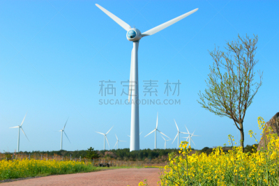 春天,油菜花,樱桃树,广场,秘密,风,云,环境保护,著名景点,韩国