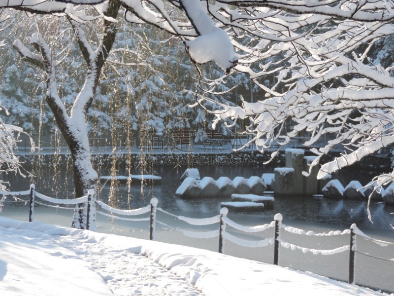 雪,筑波,四个物体,水,早晨,光,明亮,想法,白色,十二月