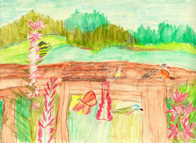 绘画插图,地形,夏天,童年,彩色蜡笔,蜡笔画,笔触,天空,湖