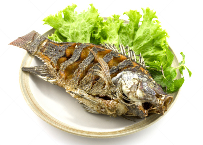 鱼肉,餐具,格子烤肉,水平画幅,膳食,海产,图像,红辣椒,淡水,晚餐