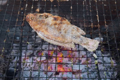格子烤肉,煤,鱼肉,食盐,水平画幅,无人,膳食,海产,夏天,户外