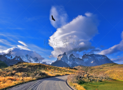 智利,南,百内犄角双峰,thomas paine,秃鹰,天空,公园,水平画幅,山