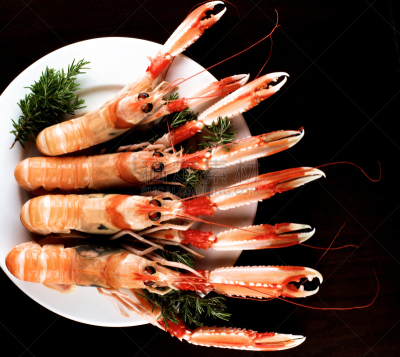 生食,美味,褐色,水平画幅,无人,海产,动物身体部位,明虾,白色,甲壳动物