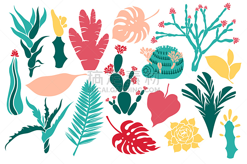 Set the plant objects, a collection with cacti, succulents and tropical leaves. Mammilia, prickly pear, haworthia, hathira, aloe, palm, monstera, hibiscus. Vector illustration.