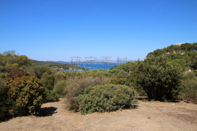 l'île de Porquerolles
