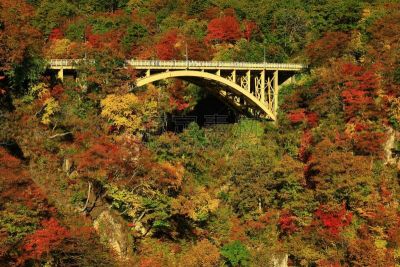 山谷,秋天,叶子,旅途,自然美,大崎市,岩石,户外,日本,铁路运输