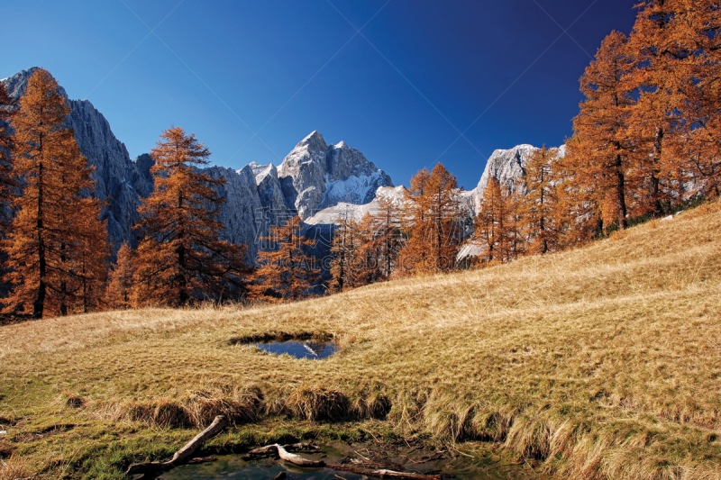 julian alps,秋天,国内著名景点,彩色背景,落叶松,岩石,户外,天空,高处,欧洲