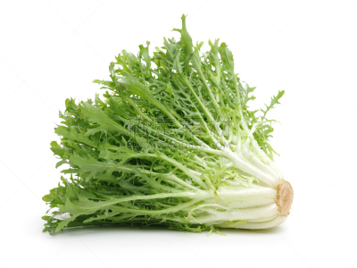 菊苣,白色背景,皱叶莴苣,饮食,水平画幅,绿色,无人,有机食品,背景分离,影棚拍摄