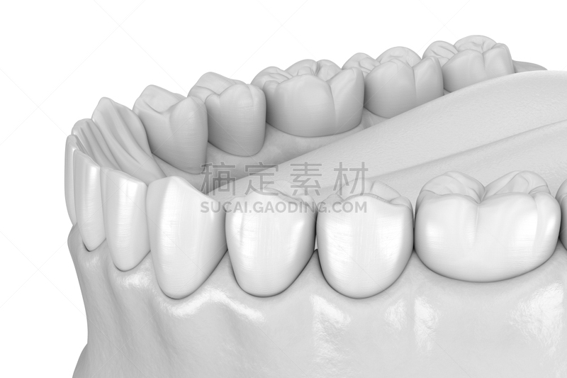绘画插图,人,牙齿,准确,三维图形,人的牙齿,口腔卫生,健康保健,形态学