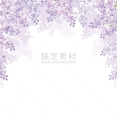 丁香花,绘画插图,矢量,背景,紫色,美,贺卡,留白,芳香的,模板