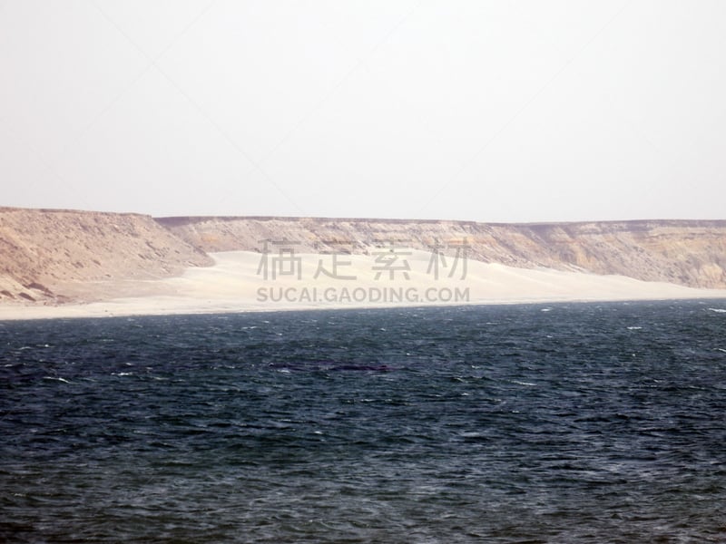 western sahara,悬崖,西撒哈拉沙漠,达禾赖绿洲,热,空的,风,环境,摩洛哥,暴风雨