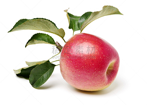 苹果,清新,叶子,分离着色,背景,白色,水平画幅,高视角,无人,阴影