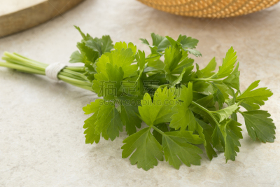 绿色,清新,自然,芳香的,水平画幅,拉维纪草植物,嫩枝,有机食品,生食,草本