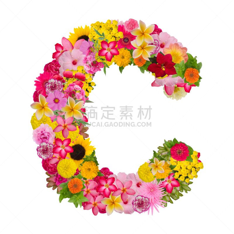 字体,品牌名称,概念,信函,接力赛,字母表次序,玫瑰,背景分离,马齿苋,字母