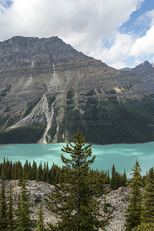 平投湖,垂直画幅,高视角,阿尔伯塔省,旅行者,夏天,户外,湖,山,常绿树