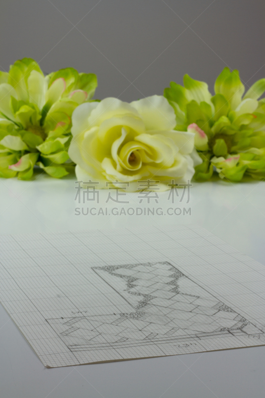 景观设计,做计划,小的,计划书,园林,方格纸,庭院,铺路石,鹅卵石,铅笔画