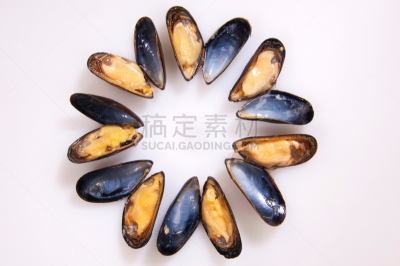 贻贝,青绿色,海蚌,海螺,春药,养鱼场,鱼市,水平画幅,无人,软体动物