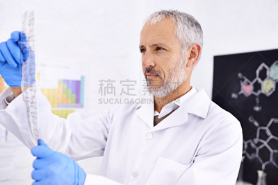 遗传研究,田地,genetic screening,结论,专业人员,部分,中老年男人,科技,仅一个中老年男人,仅男人