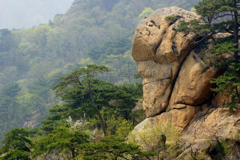 地形,山,辽宁省,自然,风,松树,水平画幅,岩石,无人,生态旅游