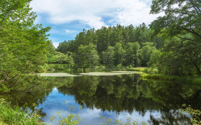 Togakushi kotorigaike pond