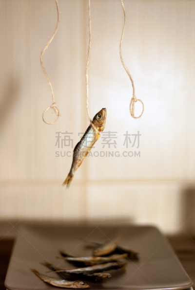 毛鳞鱼,鱼肉,烟熏食品,绞架,垂直画幅,小的,无人,开胃品,海产,小吃