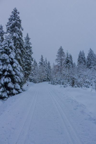 Auf dem Weg durch die schöne Winterlandschaft im Harz