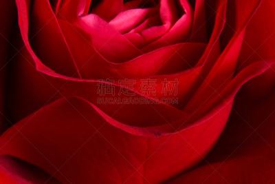 玫瑰,红色,我爱你,美,贺卡,灵性,灵感,水平画幅,无人,纪念品