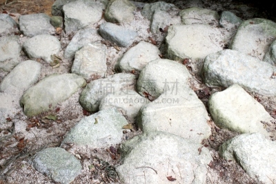 石头,灰雁,韩国,水平画幅,无人,东欧大草原,有冠鹤,户外,天生桥州立公园,摄影