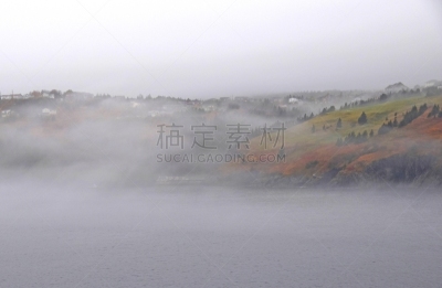 加拿大,海岸线,雾,环境,水湾,户外,天空,木制,草地,自然