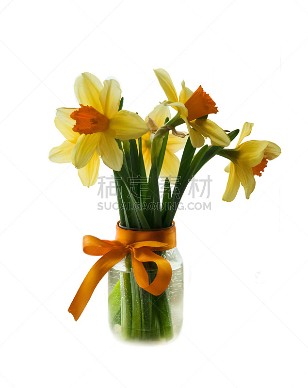 水仙花 自然 垂直画幅 水 绿色 橙色 无人 背景分离 花束 春天图片素材下载 稿定素材 水仙花 自然 垂直画幅 水 绿色 橙色 无人 背景分离 花束 春天图片素材下载 稿定素材
